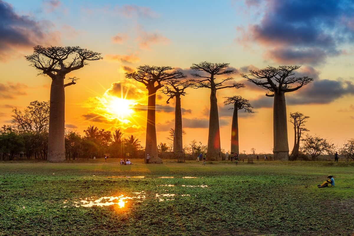 Découvrir Madagascar